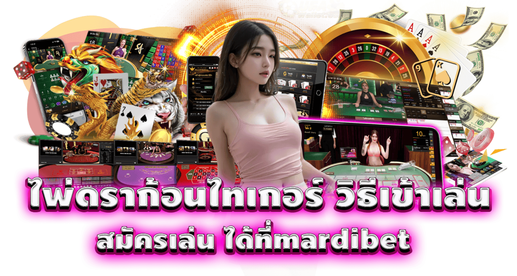 ไพ่ดราก้อนไทเกอร์ วิธีเข้าเล่น สมัครเล่น ได้ที่mardibet